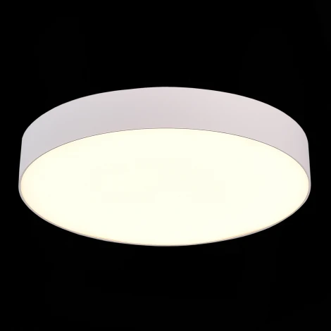 Потолочный светильник круглый ST Luce ST606.532.48 (LED, 220V, круглые)