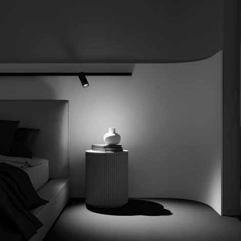 Трековый светильник (магнитный) Maytoni Focus LED TR032-2-20W2.7K-M-B (48V, круглые)