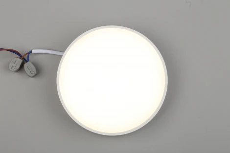 Потолочный светильник круглый Aployt Evon APL.0113.09.18 (LED, 220V, круглые)