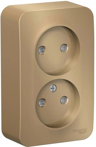 Розетка накладная двойная без заземления со шторками (титан) Systeme Electric Blanca BLNRA001214