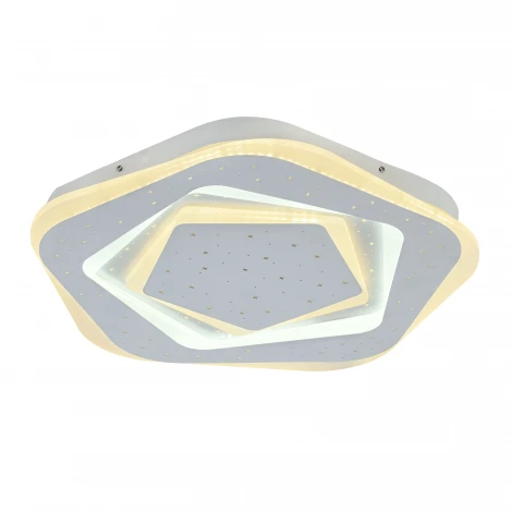 Потолочный светильник F-Promo Ledolution 2281-5C