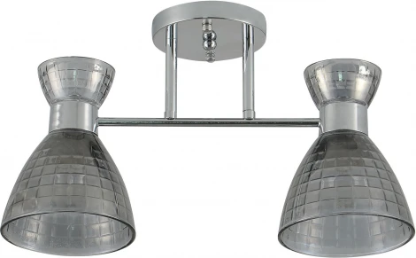 Потолочная люстра на штанге Reluce 07305-0.3-02 (220V)