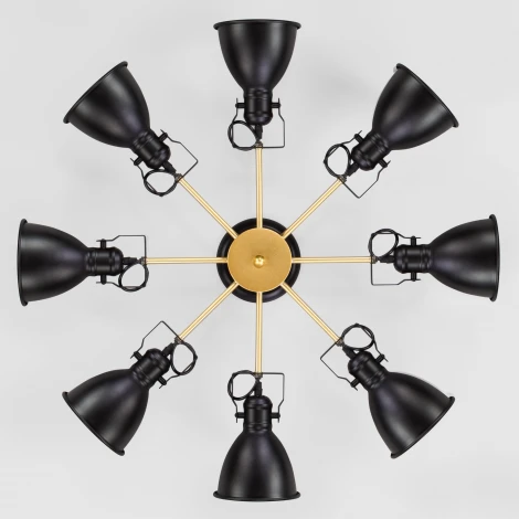 Потолочная люстра Eurosvet Denley 70112/8 черный