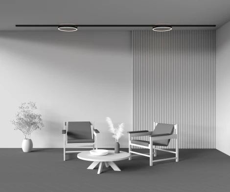 Трековый светильник магнитный однофазный 24W 48V Maytoni Rim TR227-2-24W4K-B (LED, кольцо)