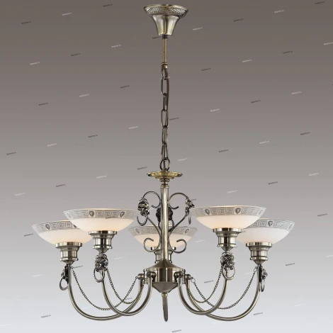 Подвесная люстра Odeon Light Rene 3213/5