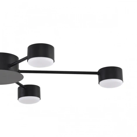 Потолочная люстра Lumion Torina 8344/6C черный, металл GX53 LED 6*7W 220V