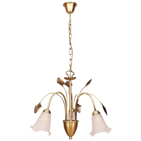Подвесная люстра MW-Light Флора 256015603