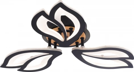 Потолочная люстра светодиодная Rivoli Lana 6195-703 LED 3000-6250К 60 Вт с пультом