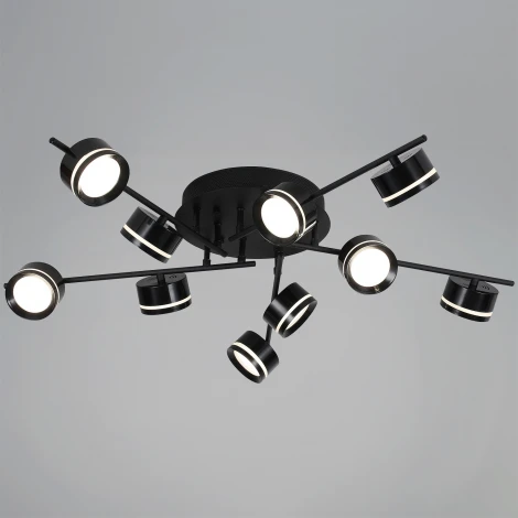 Потолочная люстра на штанге Reluce 10590-0.3-10 Black