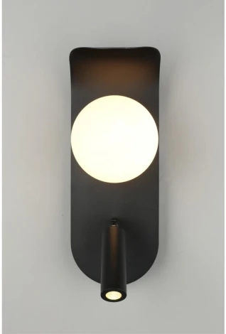 Настенный светильник LED Aployt Zofka APL.345.01.02 (220V, шар)