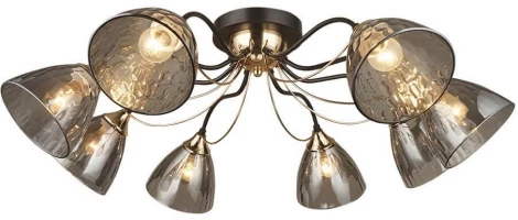 Потолочная люстра Wedo Light Livorno 66659.01.15.08