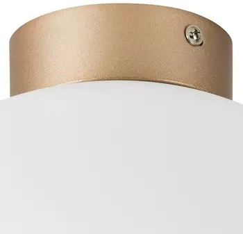 Потолочный светильник круглый Lightstar Globo 812033 (220V, шар)