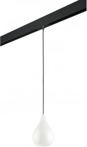 Трековый светильник однофазный 220V Lightstar Pentola PRO803030