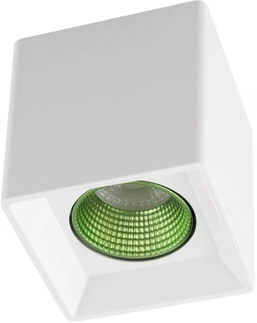 Накладной точечный светильник Denkirs DK3080-WH+GR