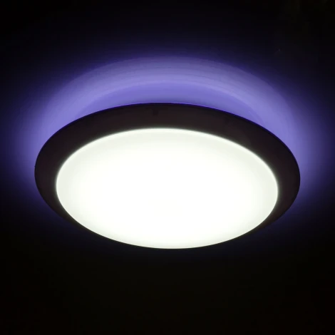Потолочный светильник MW-Light Ривз 674014301