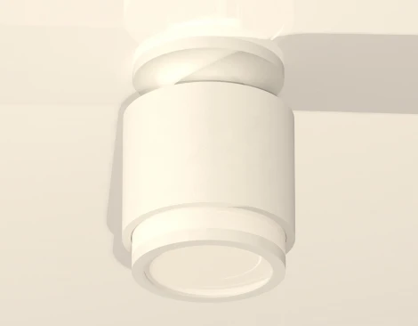 Накладной точечный светильник Ambrella Techno Spot XS7510043 (220V, круглые)