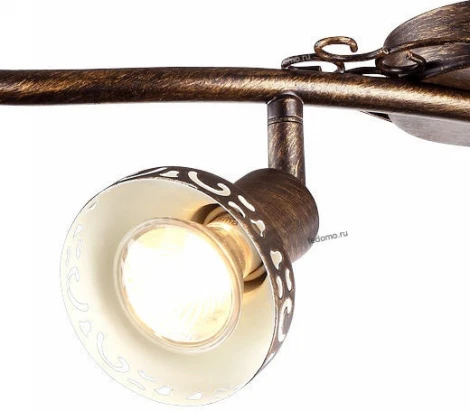 Спот Arte Lamp Focus A5219PL-4BR