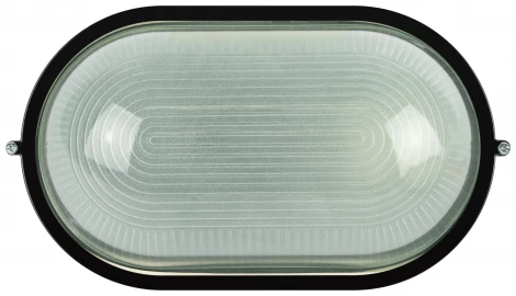 Настенно-потолочный светильник ЭРА НБП 04-100-001 в инд. упаковке НБП 04-100-001 черный