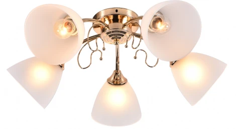 Потолочная люстра Rivoli Roswita 9052-305