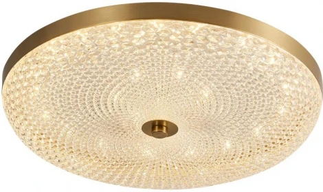 Потолочный светильник светодиодный Arti Lampadari Viro Viro L 1.13.45x8 G