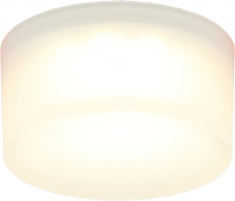 Встраиваемый точечный светильник Aployt Lea APL.0034.09.05 (LED, 220V, круглые)