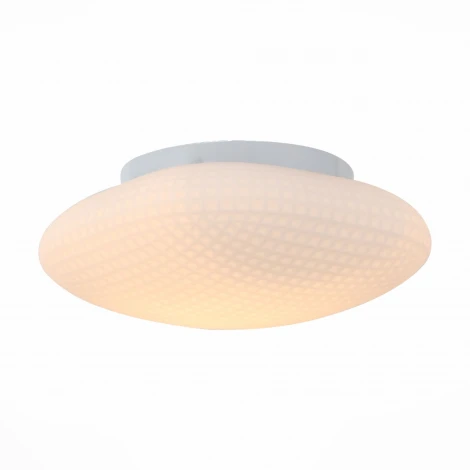 Настенно-потолочный светильник ST Luce Pone SL504.552.01