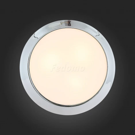 Настенно-потолочный светильник ST Luce Bagno SL469.502.03