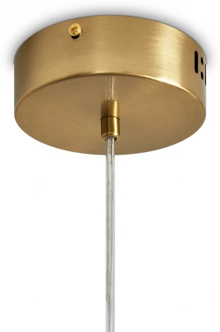 Подвесная люстра Freya Amela FR6138PL-L21BS (LED, 220V, на проводе)