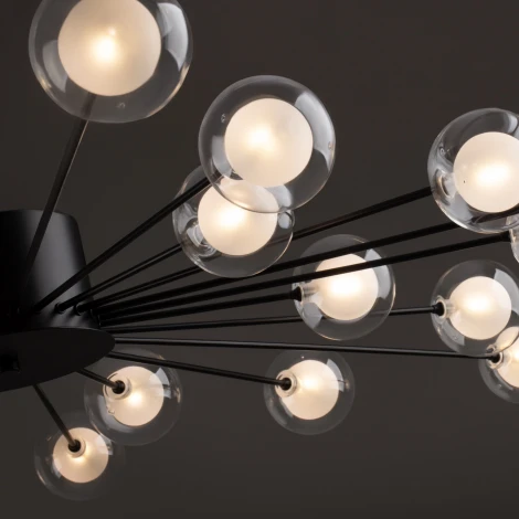 Потолочная люстра Freya Celebrity FR5242CL-24B1 (220V, шарики)