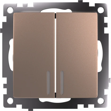 Выключатель двухклавишный с подсветкой (шампань) Stekker Катрин 39593