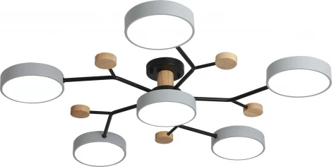 Потолочная люстра светодиодная на штанге с ДУ Ritter Scandia 52079 5