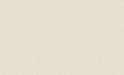 Обои виниловые Erismann Paradise 6 60114-16 10,05 x 1,06 м