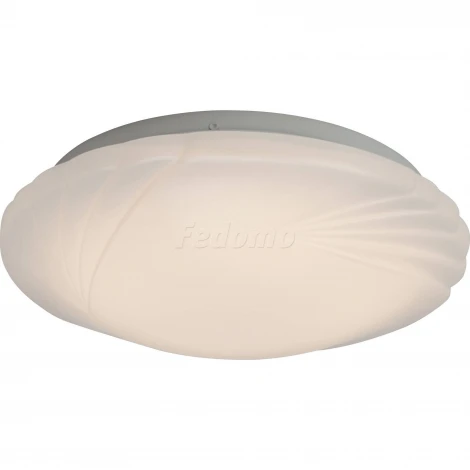 Настенно-потолочный светильник Brilliant Fiala G94216/05