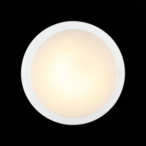 Настенно-потолочный светильник ST Luce Botone SL466.512.01