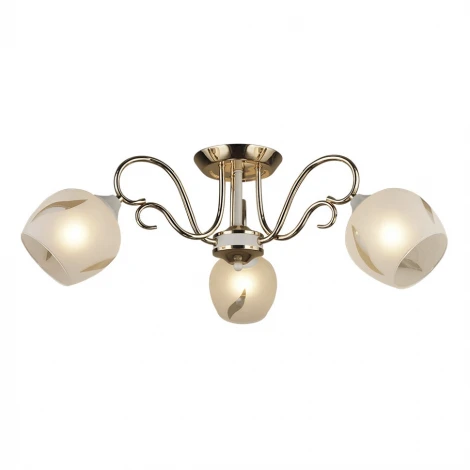 Потолочная люстра Wedo Light Malito 66207.01.10.03