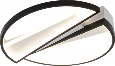 Потолочная люстра светодиодная с пультом и регулировкой цветовой температуры и яркости Rivoli Christy 6123-101 (220V)