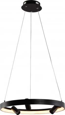 Подвесной светильник со спотами Rivoli Selena 6147-101 (регулировка яркости, LED, 220V, пульт управления, на тросе, круглые)