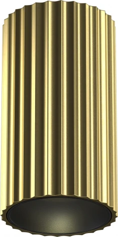 Накладной потолочный светильни Maytoni Calipso C106CL-01-GU10-BS (220V, круглые)