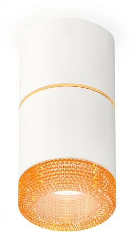 Накладной точечный светильник Ambrella Techno Spot XS7401202 (220V, круглые)