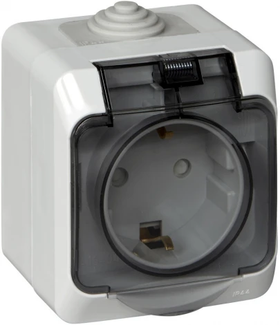 Розетка накладная с заземлением, шторками и крышкой (серый) IP44 Systeme Electric Этюд PA16-044C