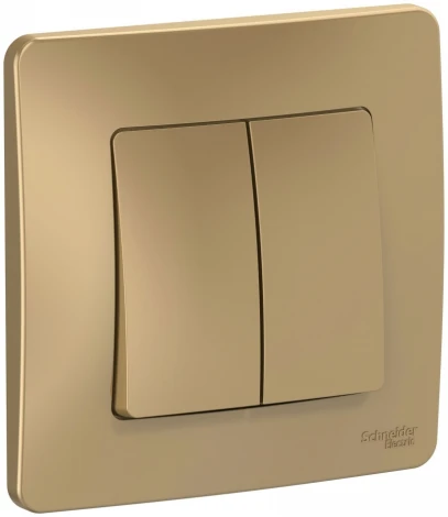 Выключатель встраиваемый двухклавишный (титан) Systeme Electric Blanca BLNVS106604