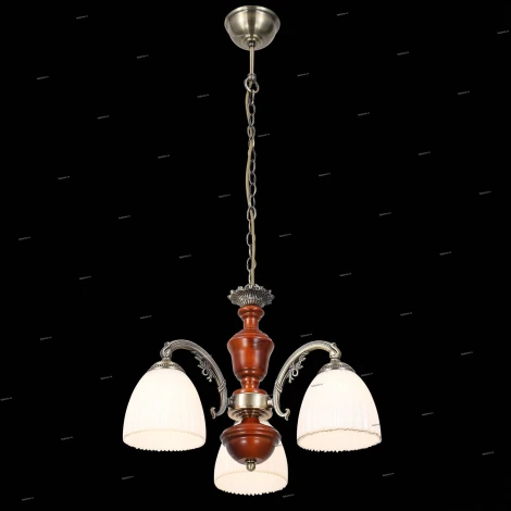 Подвесная люстра ST Luce Fiore 2 SL151.303.03