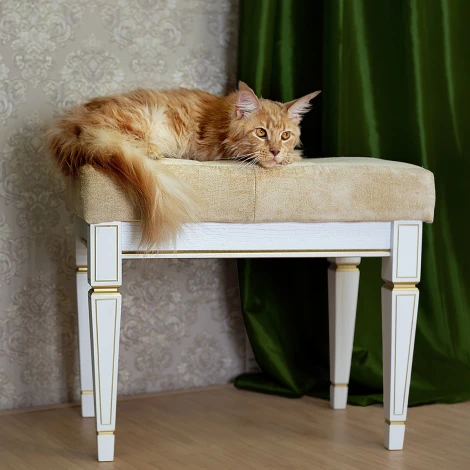 Банкетка Васко В 97Н белый ясень/золото от фабрики Mebelik