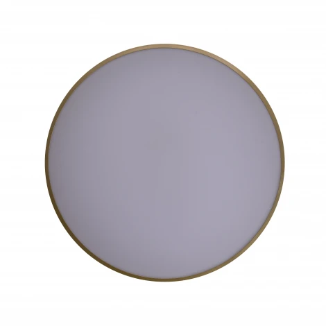 Потолочный светильник круглый со спотами Zortes Gabby ZRS.90610.50 (LED, 220V, круглые)