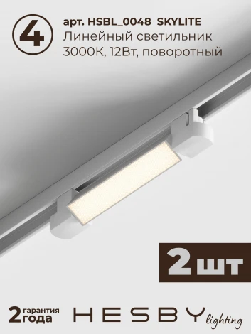 Трековая система в сборе накладная однофазная 220V Hesby Lighting №1 однофазная накладная Skylite HSBL_kompl_S001_NI1W3K