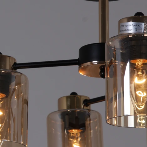 Потолочная люстра на штанге Reluce 01606-0.3-06 BK+FGD (220V)