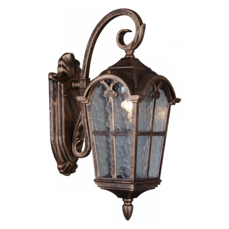 Настенный фонарь уличный Reluce 08306-9.2-001U BKG