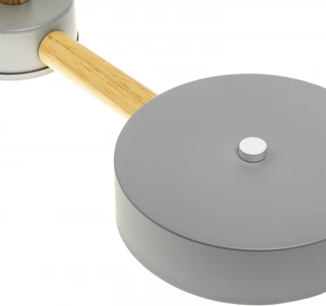 Потолочная люстра светодиодная на штанге с ДУ Ritter Scandia 51590 0