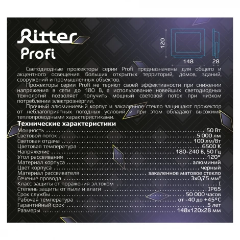 Прожектор уличный светодиодный Ritter PROFI 53408 6