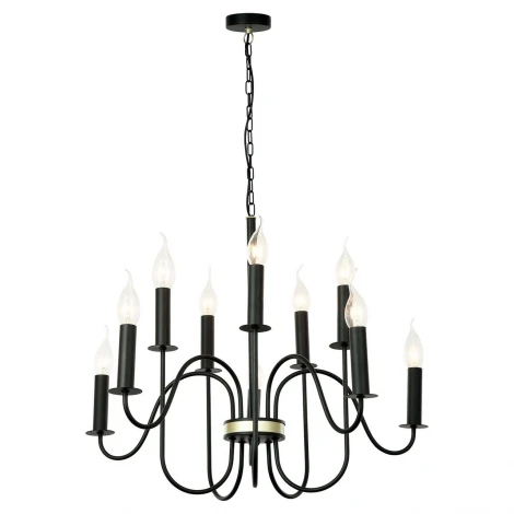 Подвесная люстра Lussole Lgo Roosevelt GRLSP-8198 (220V, на цепи, свеча, IP21)